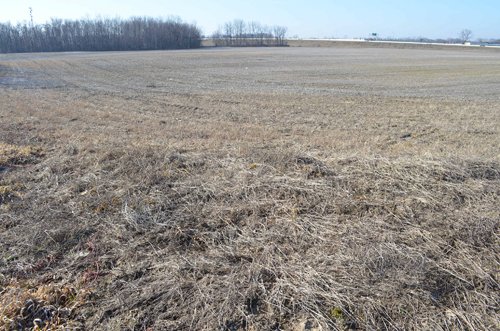 Property photo 32 - East Allen County - 55 Acre Land Auction